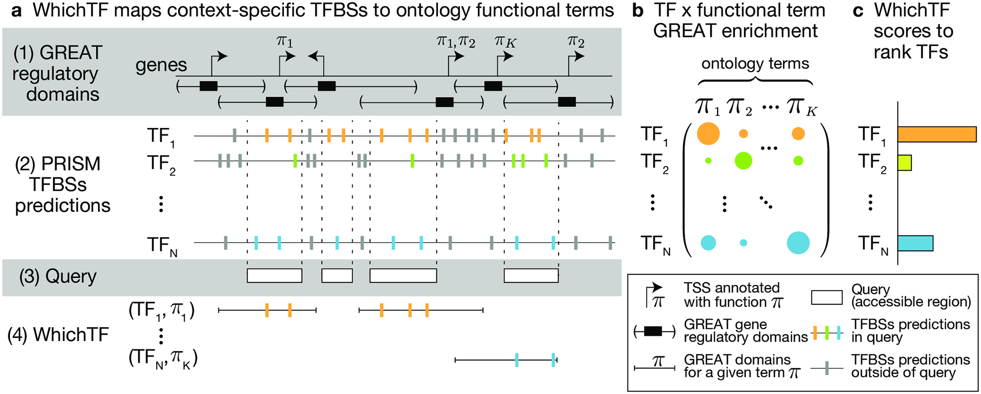 WhichTF Fig. 1