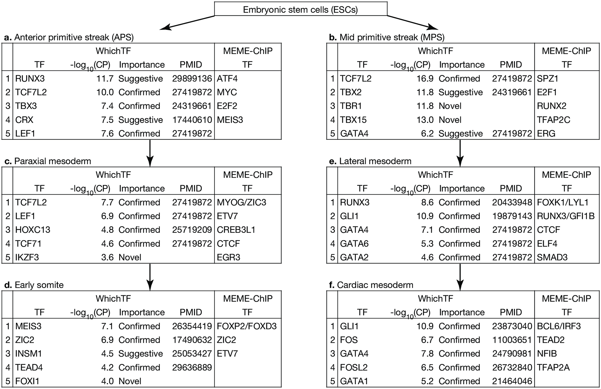 WhichTF Fig. 3