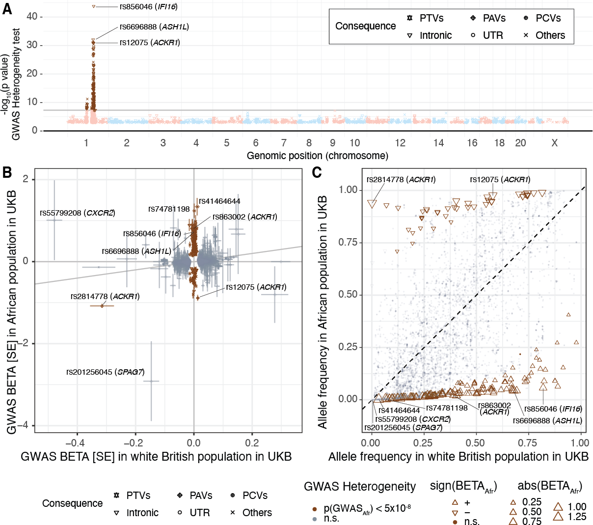 Enhanced predictive performance with iPGS+refit that additionally accounts for ancestry-dependent genetic effects