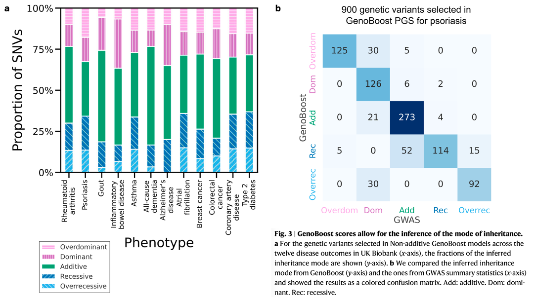 Fig. 3: GenoBoost scores allow for the inference of the mode of inheritance. (a) For the genetic variants selected in Non-additive GenoBoost models across the twelve disease outcomes in UK Biobank (x-axis), the fractions of the inferred inheritance mode are shown (y-axis). (b) We compared the inferred inheritance mode from GenoBoost (y-axis) and the ones from GWAS summary statistics (x-axis) and showed the results as a colored confusion matrix. Add: additive. Dom: dominant. Rec: recessive.