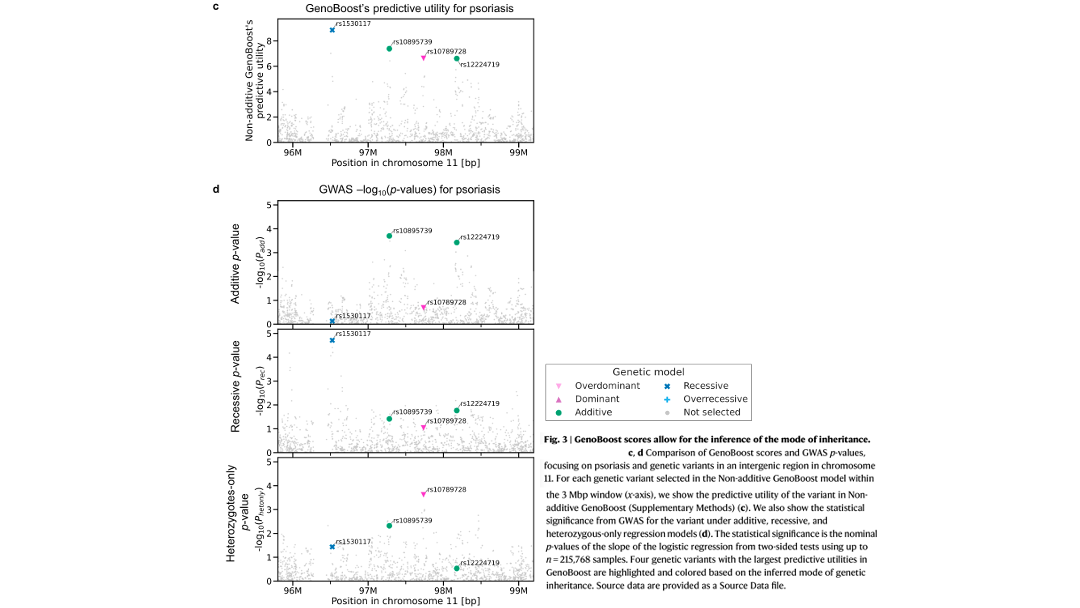 Fig. 3: GenoBoost scores allow for the inference of the mode of inheritance. (c, d) Comparison of GenoBoost scores and GWAS p-values, focusing on psoriasis and genetic variants in an intergenic region in chromosome 11. For each genetic variant selected in the Non-additive GenoBoost model within the 3 Mbp window (x-axis), we show the predictive utility of the variant in Non-additive GenoBoost (Supplementary Methods) (c). We also show the statistical significance from GWAS for the variant under additive, recessive, and heterozygous-only regression models (d). The statistical significance is the nominal p-values of the slope of the logistic regression from two-sided tests using up to n=215,768 samples. Four genetic variants with the largest predictive utilities in GenoBoost are highlighted and colored based on the inferred mode of genetic inheritance.