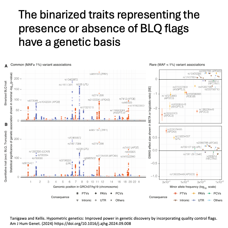 The binarized traits representing the presence or absence of BLQ flags have a genetic basis