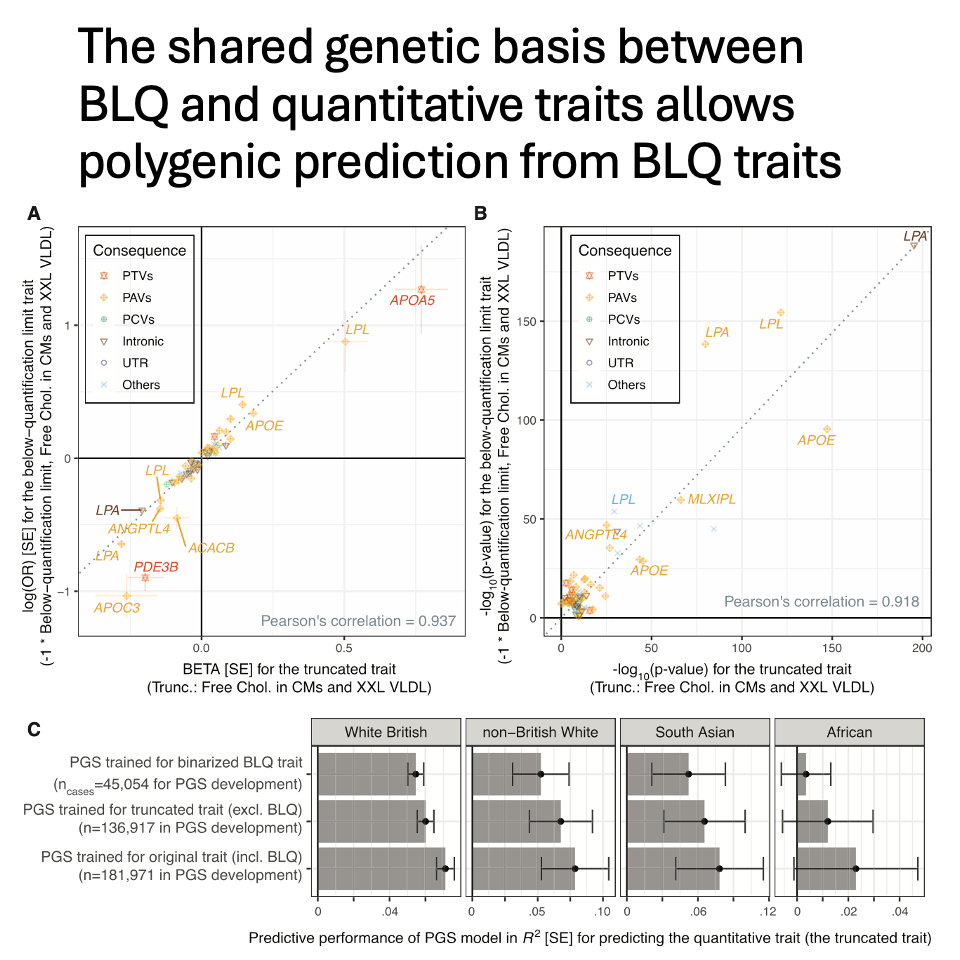 The shared genetic basis between BLQ and quantitative traits allows polygenic prediction from BLQ traits.