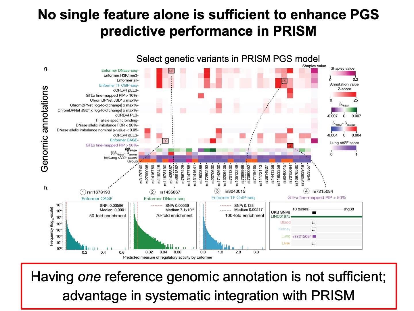 No single feature alone is sufficient to enhance PGS predictive performance in PRISM