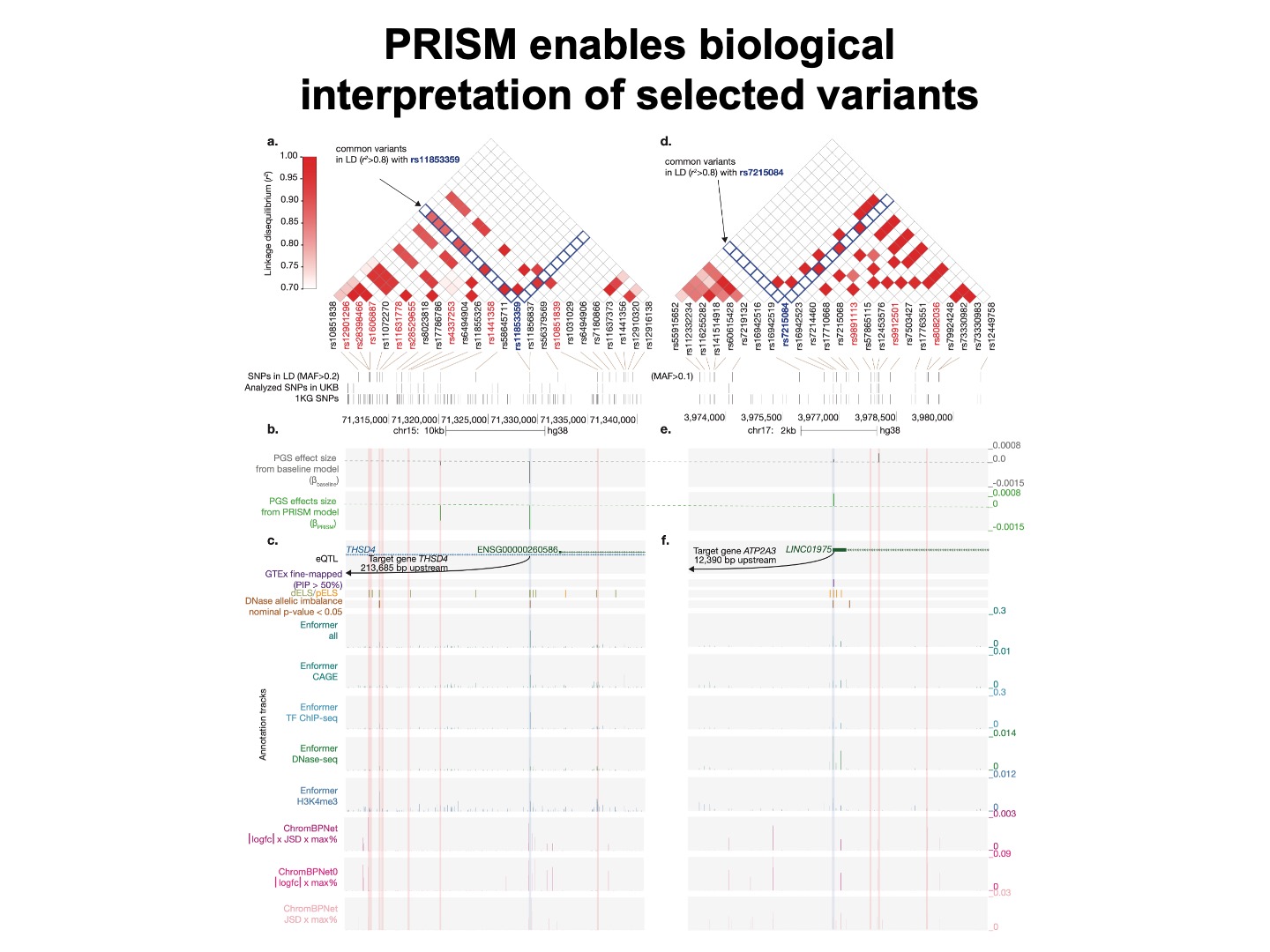PRISM enables biological interpretation of selected variants